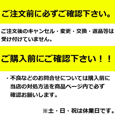 店内ポイント10倍★11/4(土)20時開始■要エントリー&楽天カード決済)【送料無料】【あす楽】電動スケートバランスボード【未来型】電動スクーター次世電動ミニセグウェイ式バランスホイール収納袋付(6.5インチタイヤ)