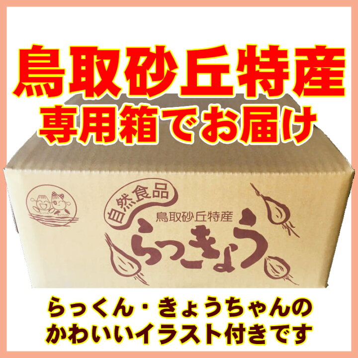 鳥取県産 らっきょう 鳥取らっきょう 箱 10kg らくだ 洗い