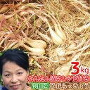 ＼昨年1位／《残り僅か》鳥取 浜田さんの鳥取砂丘らっきょう 3kg（砂付き 根付き 茎付き らくだ）簡単漬けのレシピ付…