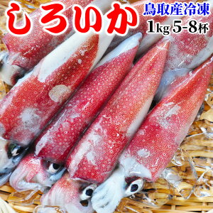 イカ タコ 剣先 1kgの人気商品 通販 価格比較 価格 Com