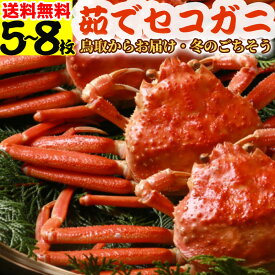 【11月解禁！先行予約】冬のごちそう 鳥取産セコガニ（親がに/せいこ蟹/せこがに）5～8枚程度 約1kg 訳あり 姿 本ズワイガニ メス 茹でガニ 解禁 2025 お徳用 勢子ガニ せこ蟹 セコ蟹 親ガニ 山陰 松葉ガニ 雌 浜下水産 11月中旬発送開始【送料無料】茹で 冷蔵