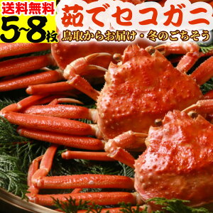 y~̂zYZRKjie/I/Ɂj5`8x 1kg 󂠂 p {YCKj X 䥂ŃKj  2025 p qKj I ZRI eKj RA tKj  l