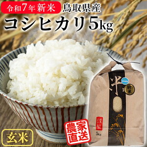yz_ߘa7NY Vā^  5kg RVqJ 挧Y 5L  ~p p 5kg ͂炾_Y