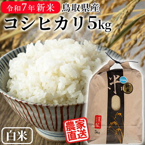 yz_ߘa7NY Vā^  5kg RVqJ 挧Y  5L  ~p p 5kg ͂炾_Y