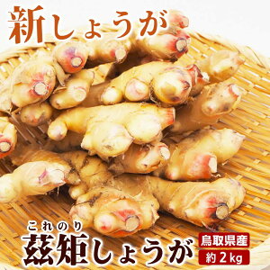 _\ ̂ꂽĂ̏{𖡂키^V傤 挧Y 傤 2kg 䢋(̂)I ͂炾_Y Yn VEK WW[ 10{ȍ~̔ 12yz