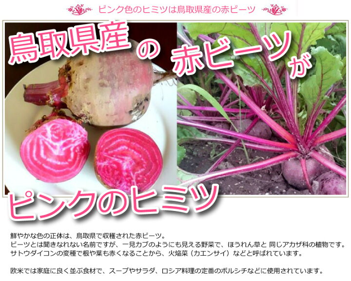 楽天市場 ピンクカレー 華貴婦人のピンク華麗 カレー 1箱 0g 鳥取人のごっつおう市場 楽天市場 ピンクカレー 華貴婦人のピンク華麗 カレー 1箱 0g 鳥取人のごっつおう市場