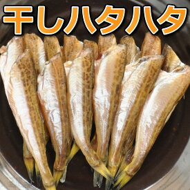 ＼数量限定／【送料無料】ハタハタ 一夜干し 無頭 たっぷり 55〜100尾（約1kg）鳥取県産 干物 冷凍 はたはた 産地直送 山陰 日本海 干し 鰰 浜下水産