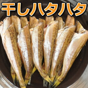 _ʗⓀŕ֗^Ղ55`100yzn^n^ 銱 Y  1kg 挧  Ⓚ ͂͂ Yn RA {C   lY v[g Mtg  