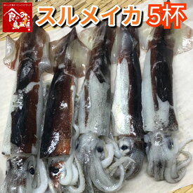 楽天市場 スルメイカ 冷凍の通販 楽天市場 スルメイカ 冷凍の通販