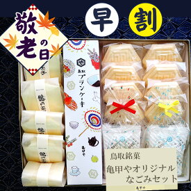 早割 敬老の日 お中元 夏ギフト 送料無料【包装付】＼鳥取銘菓 和菓子詰め合わせ／鳥取 亀甲や ギフト 銘菓 なごみセット もなか ケーキ ゼリー 最中 和菓子 お菓子 老舗 無料包装 のし可 お中元 お歳暮 亀甲もなか ブランケーキ 長寿 お祝い プレゼント 彼岸 御供