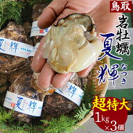 【夏のポイント祭★店内全品5倍】仲買人直送【超特大3個セット/お盆頃まで】夏輝 天然岩牡蠣 海のミルク …