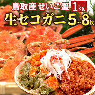 鳥取産セコガニ【高評価★4.5】生を箱詰め（親がに/せいこ蟹/せこがに）5～8枚 約1kg 訳あり 姿 本ズワイ…