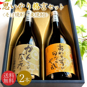 yz_̒n ݔ׃Zbg^Ē n MtgZbg  Mtg 720mlZbg 2{  ̂  ivZbg