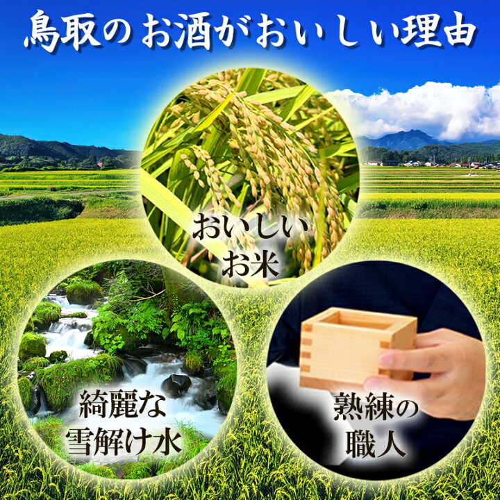 楽天市場】【8/20限定 店内全品P3倍】ギフト お祝い 残暑見舞い