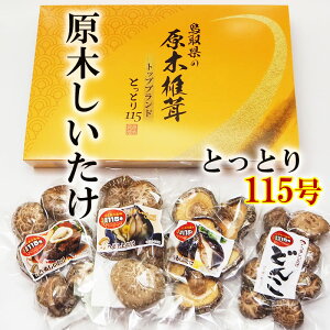 【送料無料】【鳥取 原木しいたけ】干し椎茸 国産(とっとり115)原木椎茸 セット 鳥取県産 しいたけ 原木栽培 干しシイタケ 菌興椎茸 ギフト 贈答 うまい ステーキ ハンバーグ 刺し身 トッ