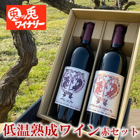 【送料無料】【贈答用】ギフト ワインセット 赤 辛口 2本 飲み比べ 高級 地ワイン 甲斐ノワール ヤマソービニオン 国産 ペア フルボトル 低温発酵 兎ッ兎ワイナリー 鳥取 プレゼント ギフト 父の日 誕生日 御中元 お中元 お返し お酒 わいん セット 兎ッ兎ワイン