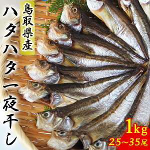 _El̈銱^yzLn^n^   1kg 25`35 Y ͂͂ {C RA ۊ ۂ g fg   Yn MX Ⓚ