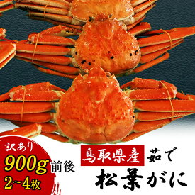 【楽天1位】＼訳あり特価／松葉ガニ 鳥取県産 茹で 足折れ 2～4枚 900g前後 タグ無し 姿 松葉がに 松葉蟹 ズワイガニ カニ 蟹 鍋 かに 新物 冬 グルメ 海鮮 お取り寄せ 国産 賀露 かに大陸 藪中商店【送料無料】冷蔵