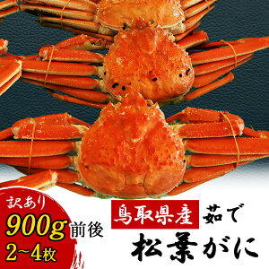 tKjy󂠂z挧Y 䥂 ܂ 2`4 900gO ^O p t tI YCKj Jj I   V ~ O CN  Y I ɑ嗤 MXy