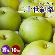 【9/17(木)まで 無くなり次第終了】二十世紀梨 20世紀梨 鳥取【梨王国鳥取】10kg 秀品 鳥取県産 L 32玉前…