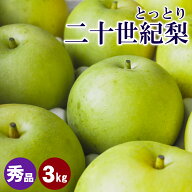 【9/17(木)まで 無くなり次第終了】二十世紀梨 20世紀梨 鳥取【梨王国鳥取】2.5～3kg 秀品 鳥取県産 L 7…