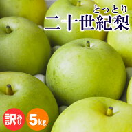 【9/17(木)まで 無くなり次第終了】二十世紀梨 20世紀梨 鳥取【梨王国鳥取】訳あり 5kg 自宅用 鳥取県産 …