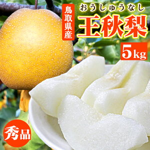 y\z_񔭑 10{͂^Y HiイȂj2-3L G 5kg 12-14  i 挧Y Rc_ Ynyz