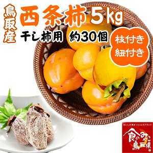 yyV1ʁz\yʌEza` `E݂邵`p Y ` Zbg 5kg 30 Rt }t Yn Rc_ 