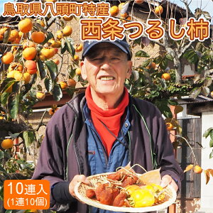 yc킸z` 邵` 10AZbg ` 挧 Y 1A10 ݂邵` Yn Rc_ yz