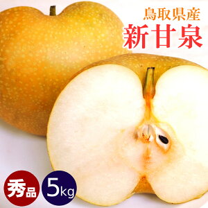 �y����������z�� �V�Ð� 5kg �G�i ���挧�Y L�`2L 14�`18�ʓ� �����p �M�t�g �v���[���g �t���[�c �� �Ȃ� �a�� �i�V ���񂩂񂹂� �ʕ� �������́y��s�\��z���������i�k�C���E����������j