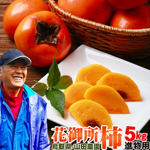 _Ƃ낯Â^yyV1ʁzy11{`zԌ䏊` 挧YiÊ`j5kgZbgiMTCYF24-26ʑOjip {Â` x     Rc_ Hׂ ʔ Y