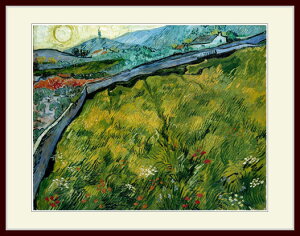 SbzEuEnclosed wheat field with rising sunv