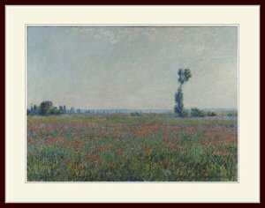 lEuChamp de coquelicotsv