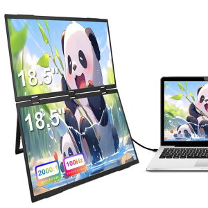 Scnsuptpデュアルモニター、18.5”