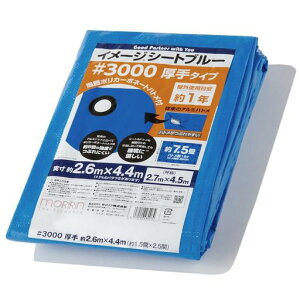 u[V[gW[V[gC[WV[gu[#30002.7x4.5m|J[{l[gnggpڈ1N1