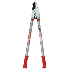 DAISHIN`Fbg}50mm5cm}؂}͂݃nT~|K[fjO_ƒ_Ɖƒ؉pH}؂oT~yʙؐ_}؂΂