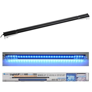 색CgAbvSLIM}600ubN60-70cmp