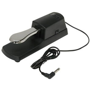 LN^j(Kikutani)_p[y_TXeBy_tbgy_fW^sAmL[{[hΉɐXCb`tKSP-10