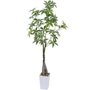 tFCNO[lHϗtAϗtԃpL112cmK̖،G}C򐢘bȂz[փItBXCeA