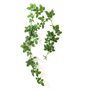 yowodanatFCNO[lHϗtA݂艺Ǌ|S180cmlHAlHّԓ͋CIBe