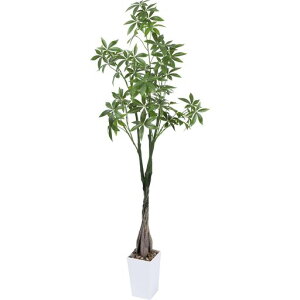 tFCNO[lHϗtAϗtԃpL138cmK̖،G}C򐢘bȂz[փItBXCeA