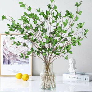 BacucineԃKW}̗t̎}lHϗtAtFCNO[xKVXϏܐA΂̗t̃V~[VK[hojz[ItBXԍމԑCeAp[ec