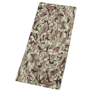 AXJ^ITbƃhCtFCX^IASK-2AP-CAM-FALL