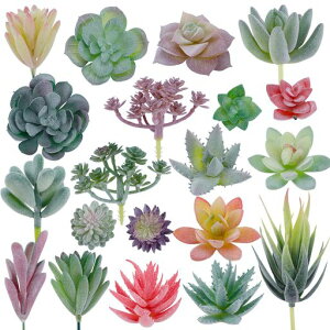 CEWOR人工フロック多肉植物ミニフェイク多肉植物フェイクプレミアム装飾DIYクラフトホームフローラルウォールガーデンアレンジメントオフィスデコレーション(鉢なし)20個
