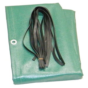 ^[s[GXezgbNV[g1ygbNO[1.9mx2.1m