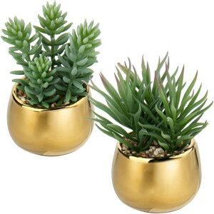 VillaComotFCNO[CeAO[lHϗtAA㔫A^GAvcNX}XItBXX2_Zbg