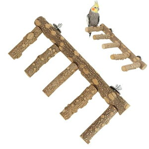 PAVIKEIẼX^h͂VRؒ̂͂~܂5A~܂؃X^hނ܌܂𖁂CR~܂؃p[`P[WANZT[piCRIEJic