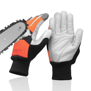 [WISEPRO]`F[\[܍ƗphpR苍vJjbNO[uیƊ~EN388KiEx1Lk̍b12wؒfh~`F[\[~ߐnt̑(M)