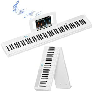 TERENCE�d�q�s�A�m88���Ր܂��݃^�b�`���X�|���X����5W�f���A���X�s�[�J�[MIDI�Ή��L�[�{�[�h�s�A�m�[�d�\�y�^���t���R���p�N�g�g�ѕ֗����K�Ƀs�b�^�����{��戵�������t��V30�z���C�g