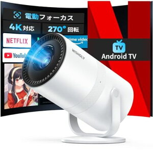 WISHOLYvWFN^[^y2025N^EAndroidTVځEdtH[JXE270°]zՂ낶[ƒp18000LM1080PWiFi6vWFN^[VWi-Fi`␳Bluetooth5.4